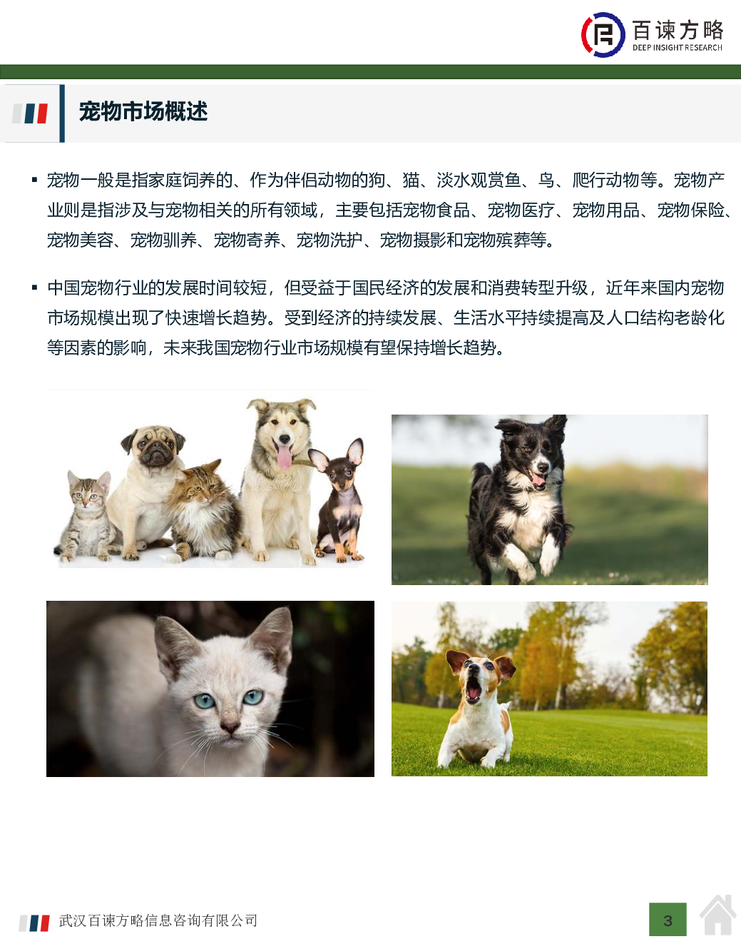 预览图-3