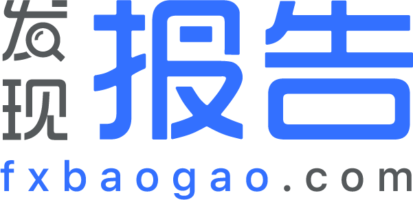 发现报告
