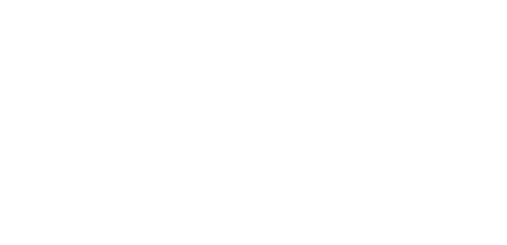 发现报告