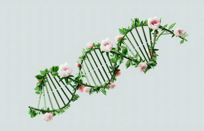 合成生物专题报告